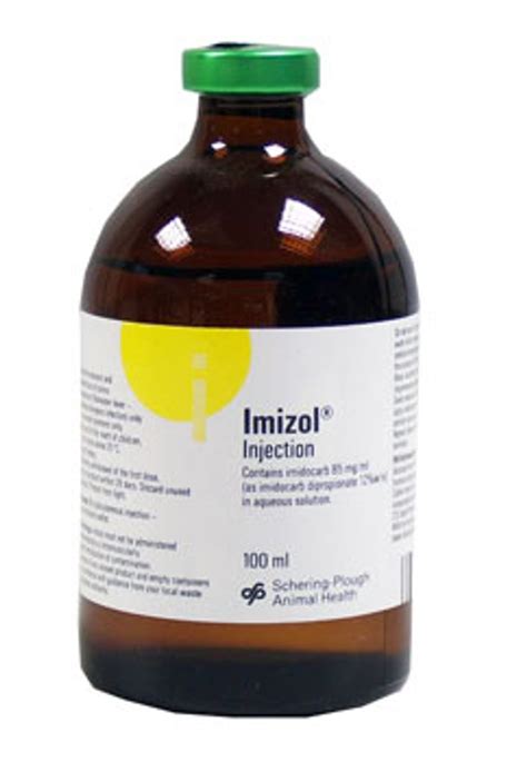 Imizol® 85 mg/ml Solution for Injection 